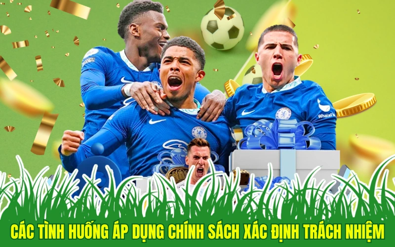 Các tình huống áp dụng chính sách xác định trách nhiệm